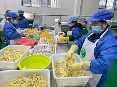 桐梓大婁山方竹筍遠(yuǎn)銷重慶上海