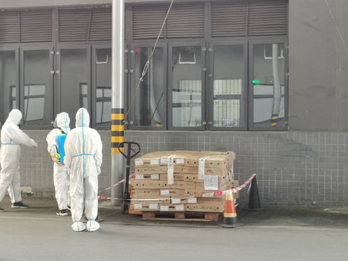 重慶市璧山區(qū)開展進口冷鏈食品疫情防控應(yīng)急演練